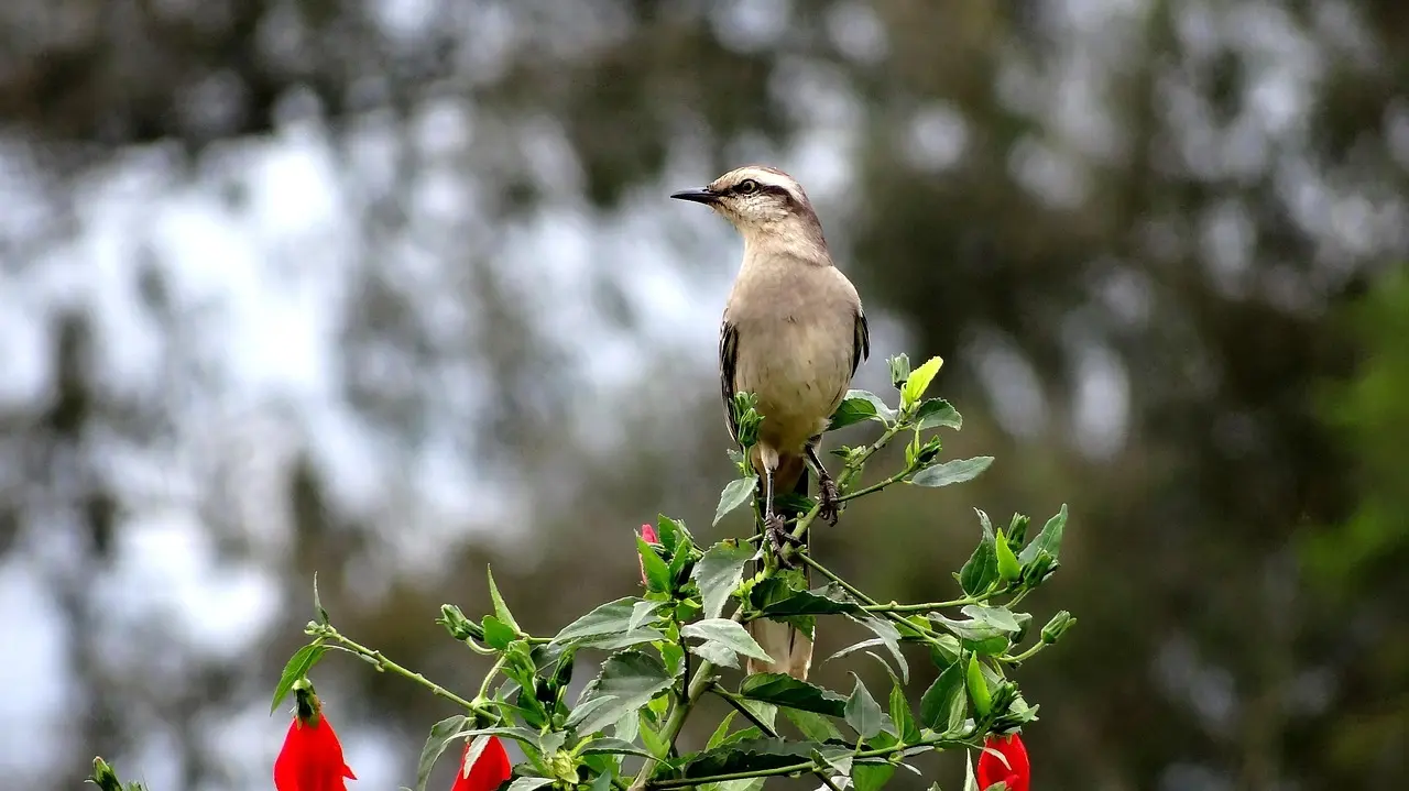 7 metoder til værdiansættelse af domænenavne