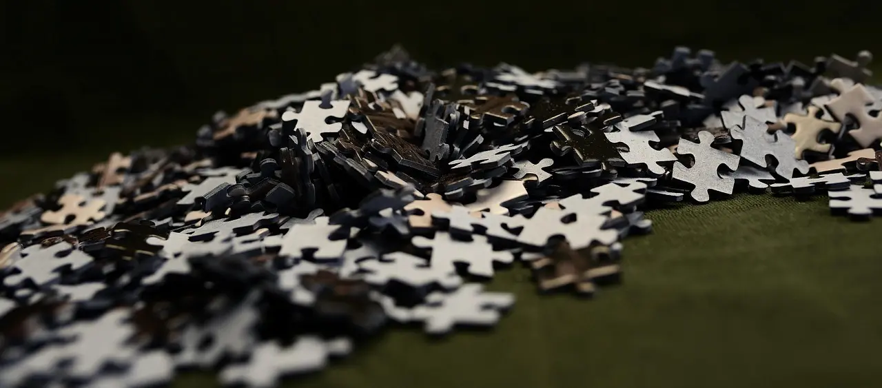 Hvordan vurderer du aktietilbagekøb hos danske selskaber?