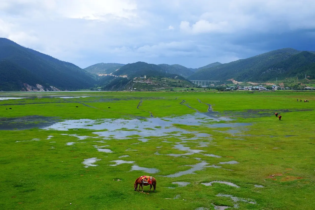 Medvirkende i La Brea