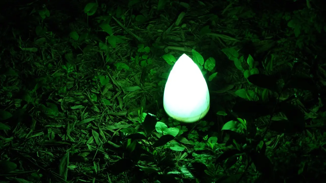 ROIC vs. WACC: Sådan spotter du værdiskabelse i aktier